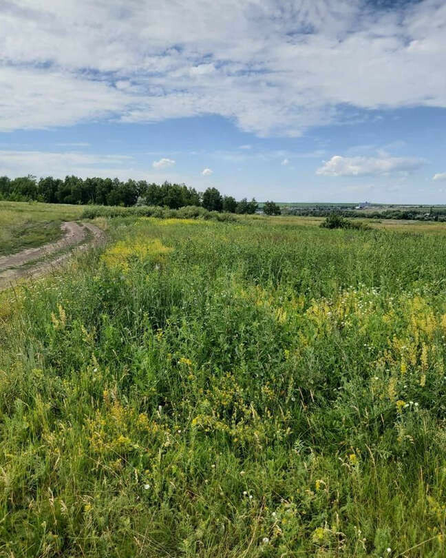 Купить Коммерческую Землю В Омске Недорого