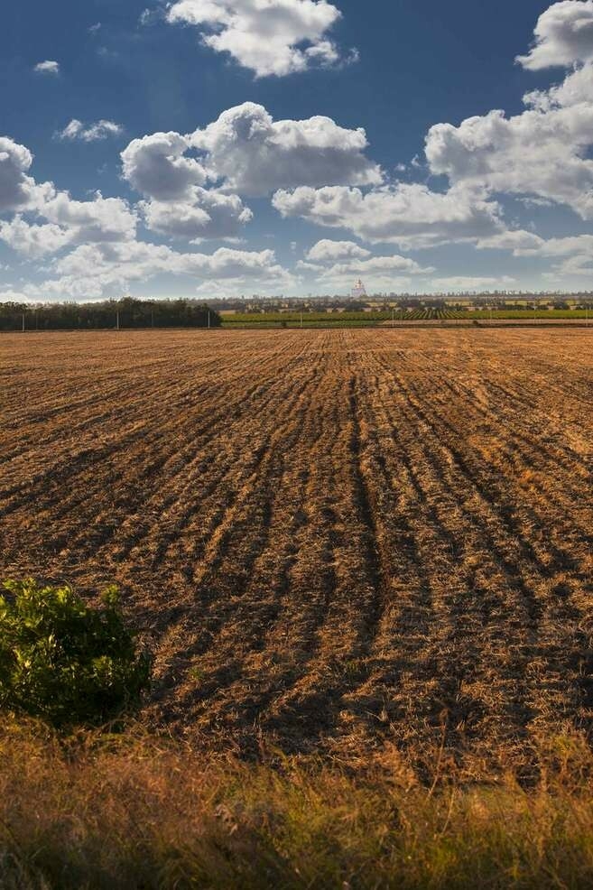 Фото земли сельхозназначения