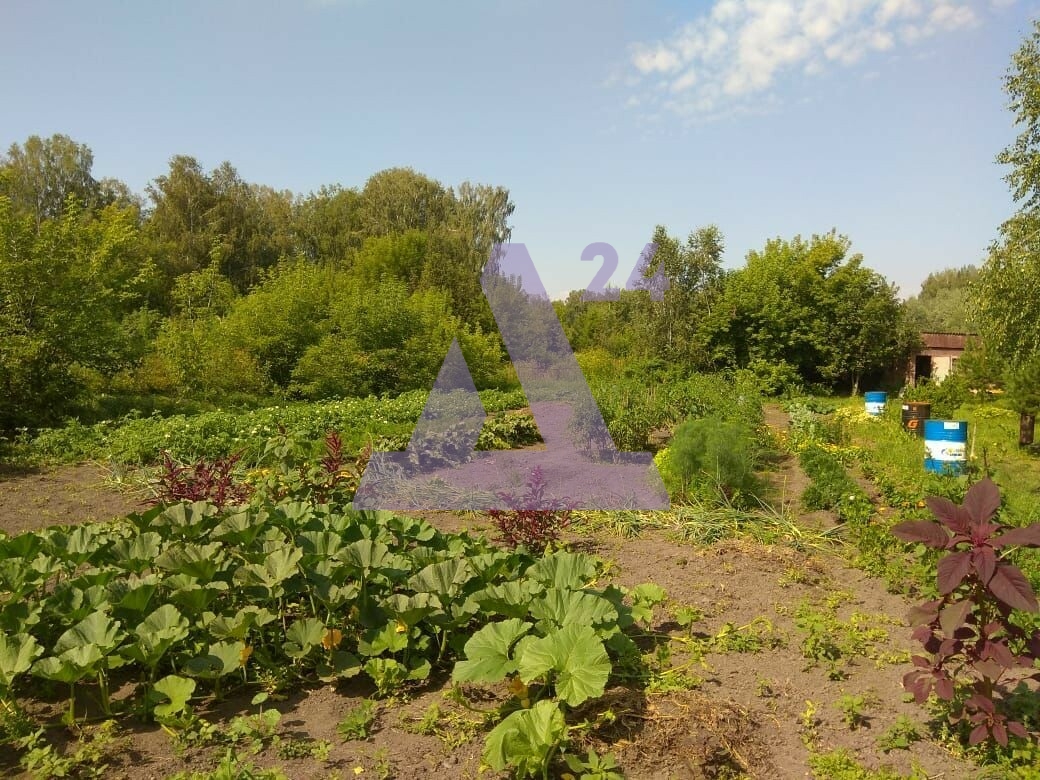 Дом с участком на продажу в Кокше, улица Братьев Иванцовых, дом 36 фото №4