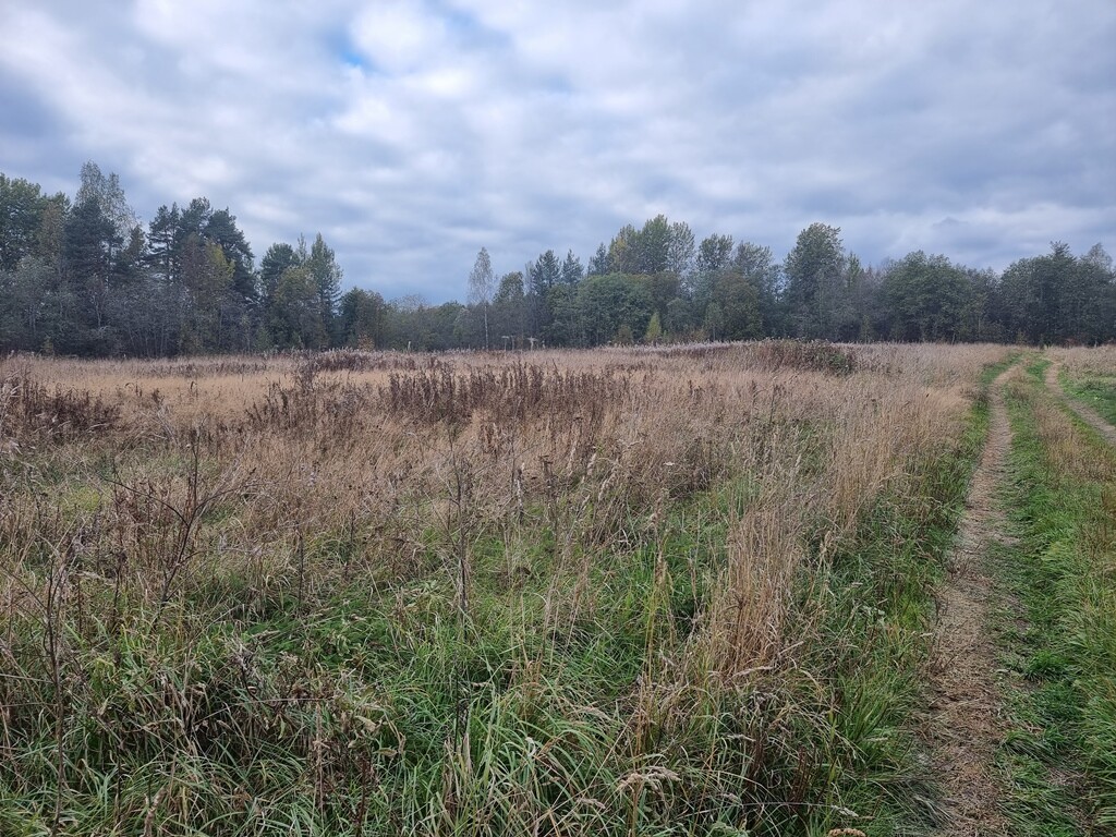 Участок С/х назначения 1.30 га Приозерский район — фото 15