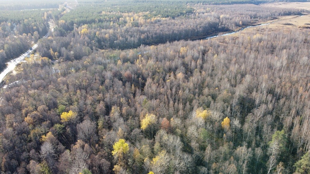 Участок С/х назначения 49.00 га Выборгский район — фото 14