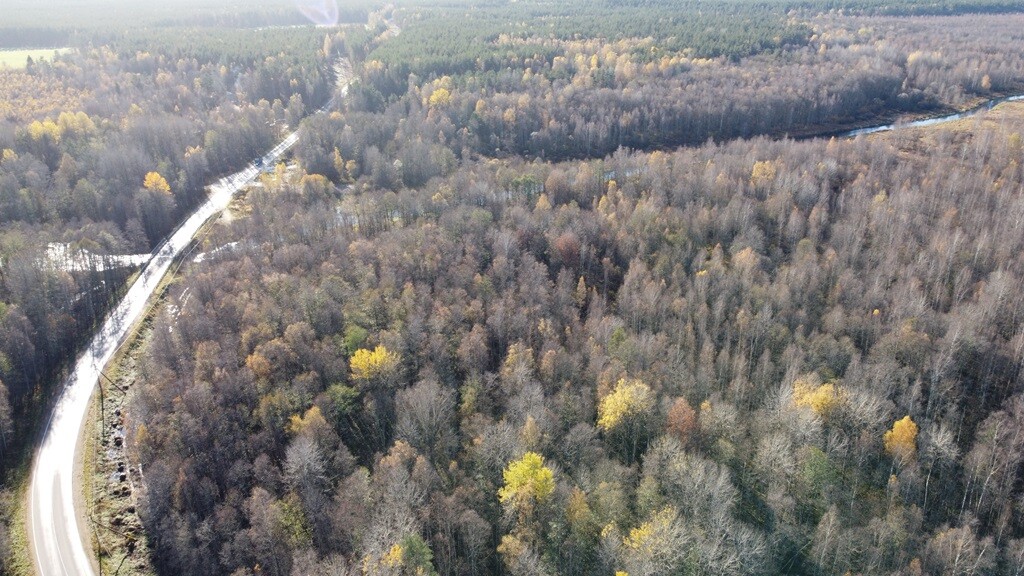Участок С/х назначения 49.00 га Выборгский район — фото 13