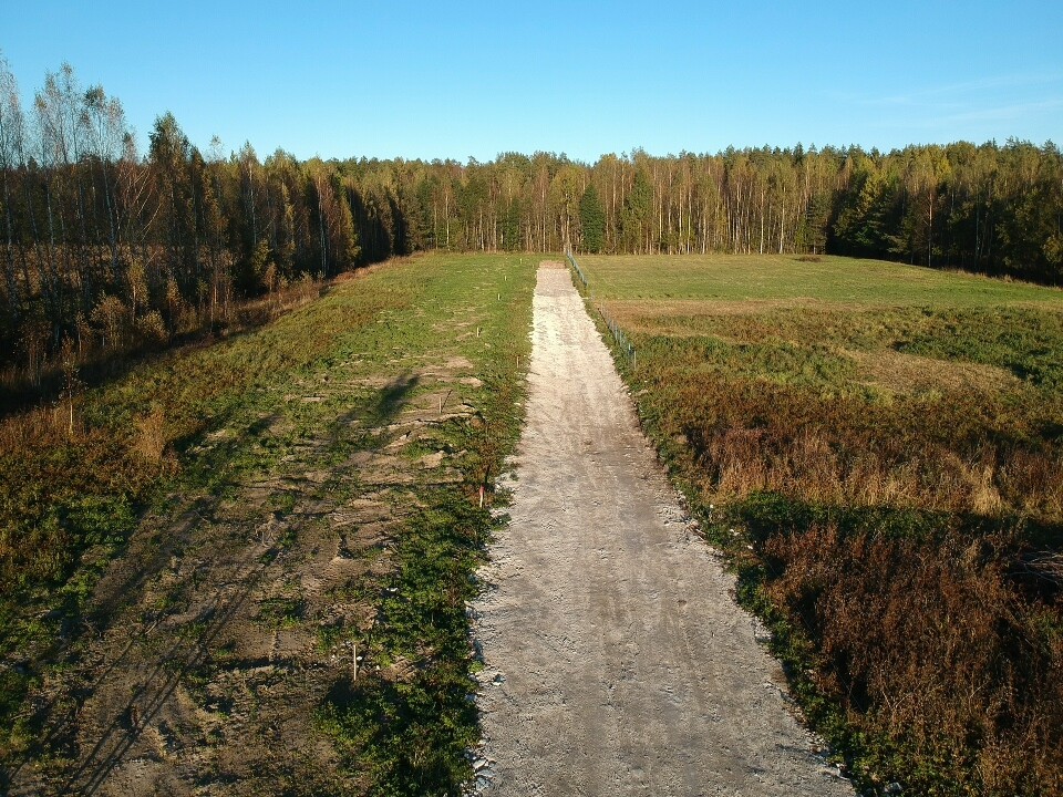 Участок С/х назначения 54 сот. Всеволожский район — фото 1