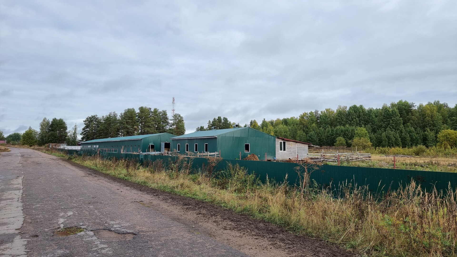 Участок 4.90 га Выборгский район — фото 8
