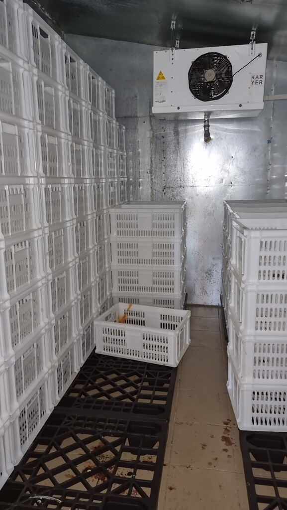 Участок 4.90 га Выборгский район — фото 18