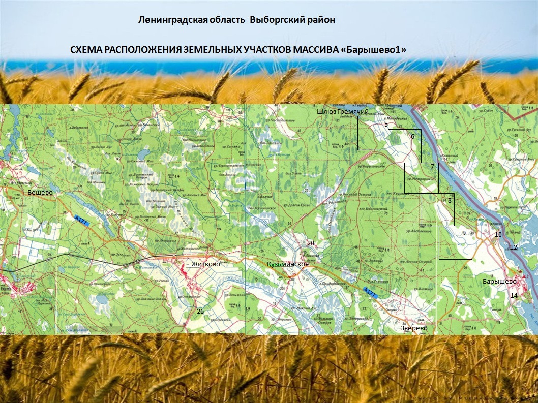 Участок С/х назначения 250.00 га Выборгский район — фото 3