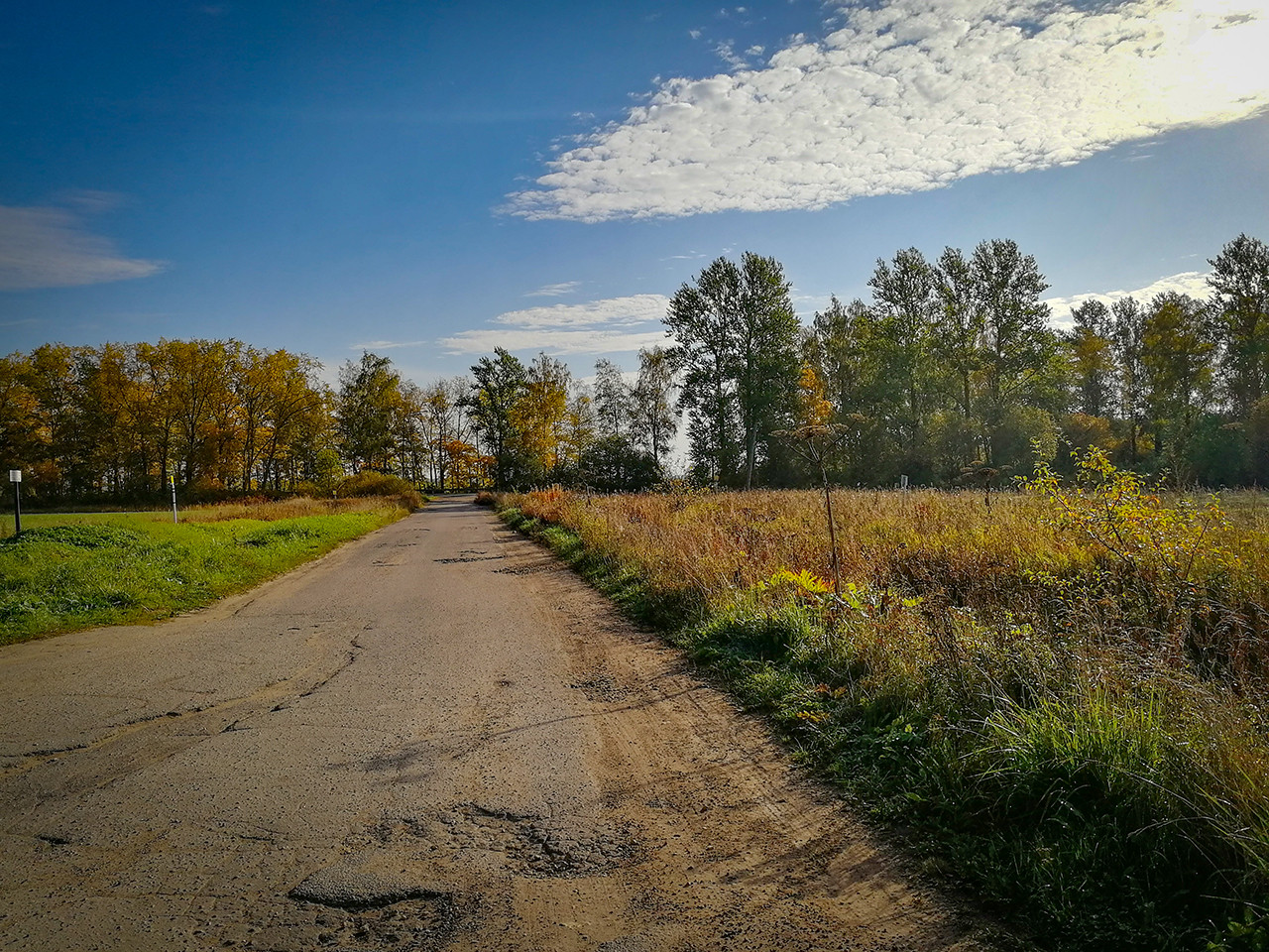 Погода никольское гатчинский. Никольское (село, Гатчинский район). Село Никольское Гатчинский. Никольское Гатчинский район. Село Никольское Гатчинский район рожь.