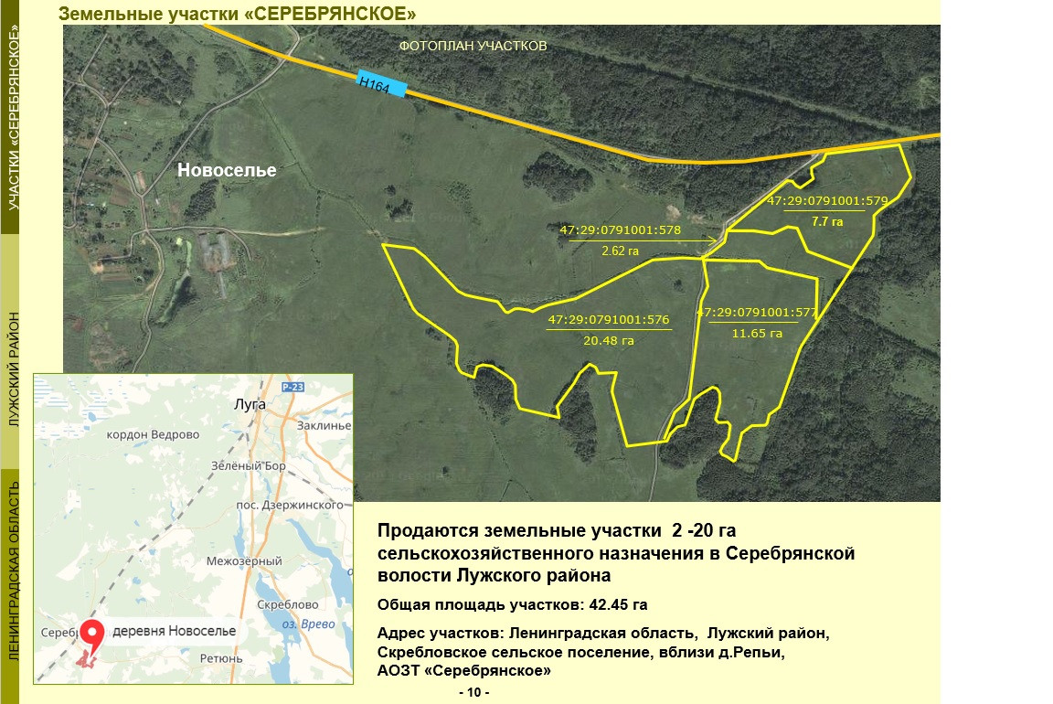 Скреблово лужский район карта