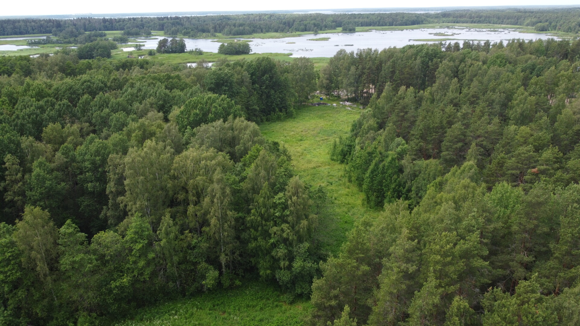 Участок ДНП 1.95 га Выборгский район — фото 16