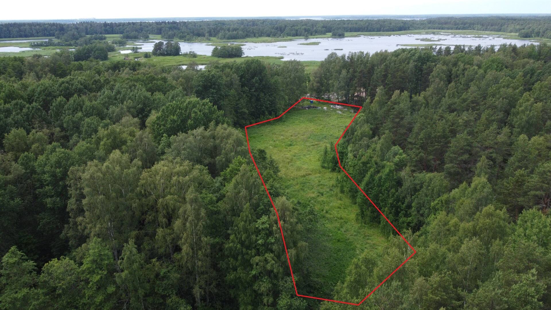 Участок ДНП 1.95 га Выборгский район — фото 15
