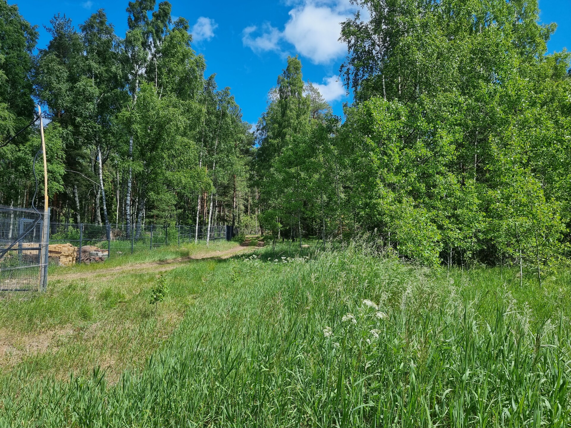 Участок ДНП 1.95 га Выборгский район — фото 7