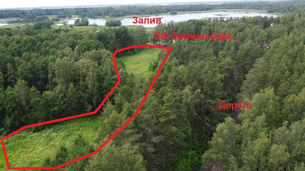 Участок ДНП 1.00 га Выборгский район — фото 17
