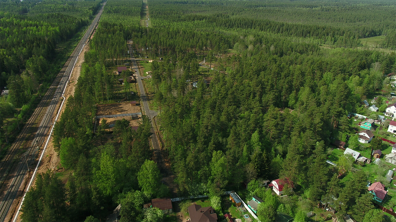 Купить Участок В Сосновом Лесу Ленинградской Области