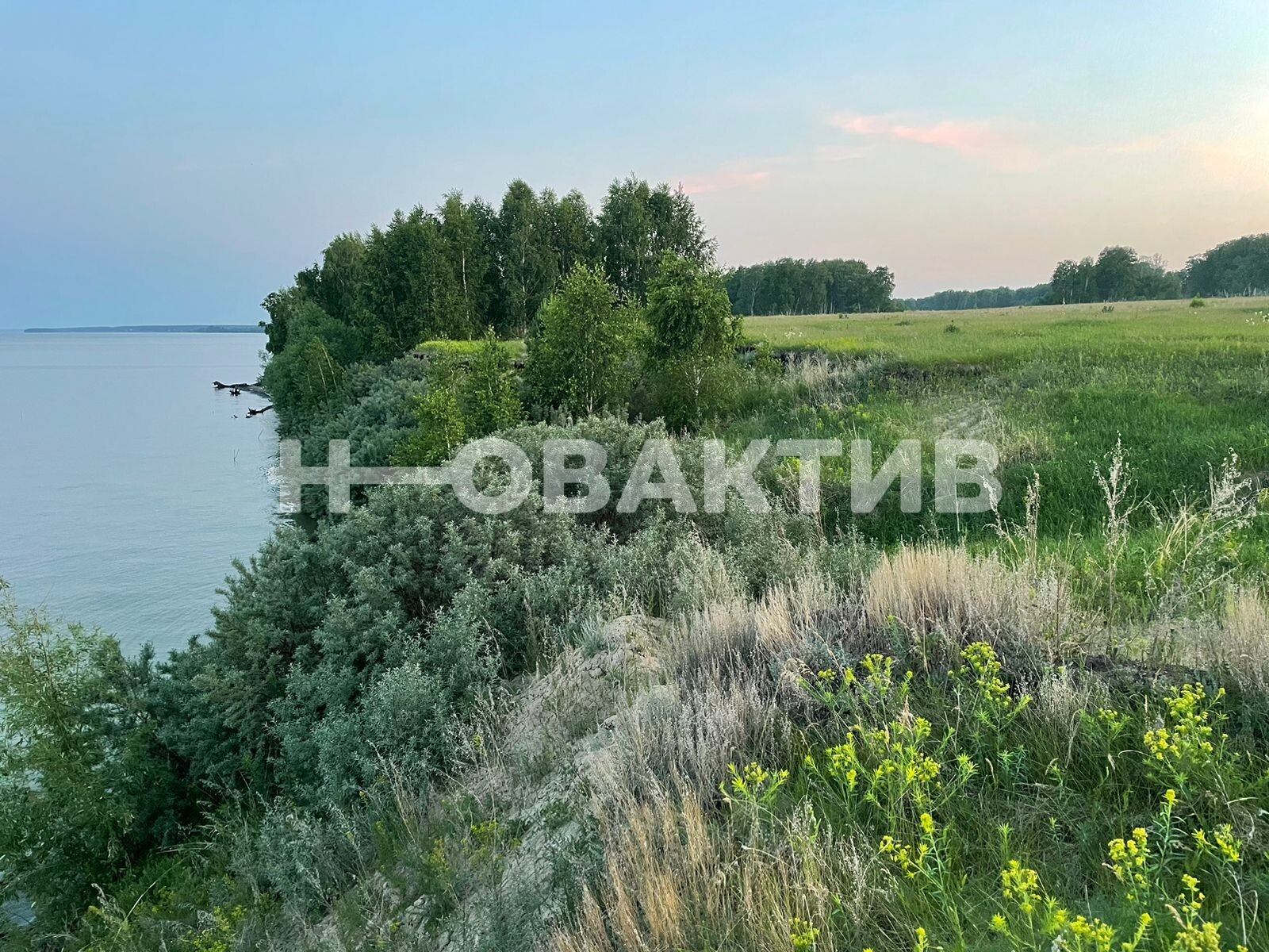 Коммерческая земля · 336.8сот. — Изображение 6