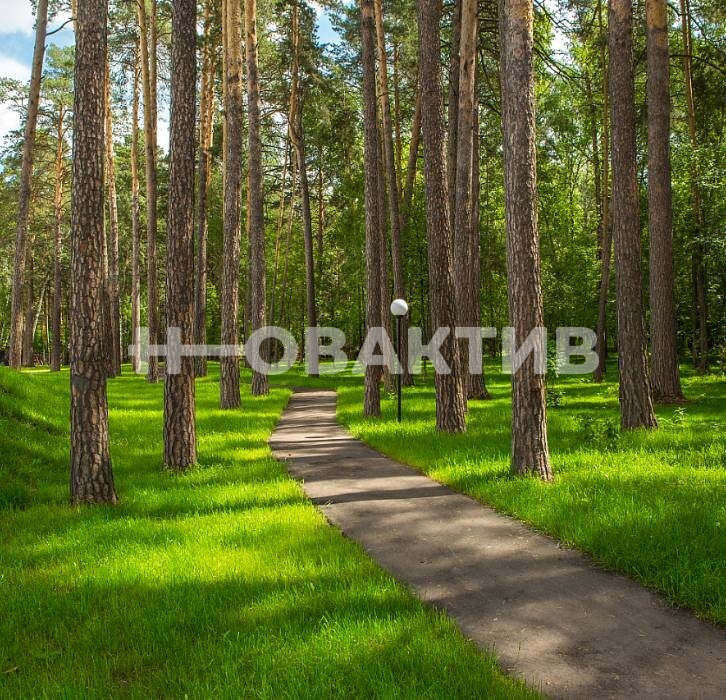 ПСН · 6500.0 м² · 1/2 этаж