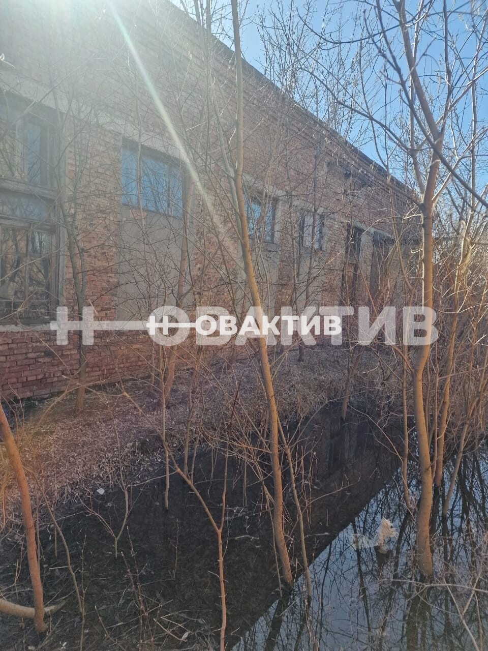 ПСН · 500.0 м² · 1/1 этаж