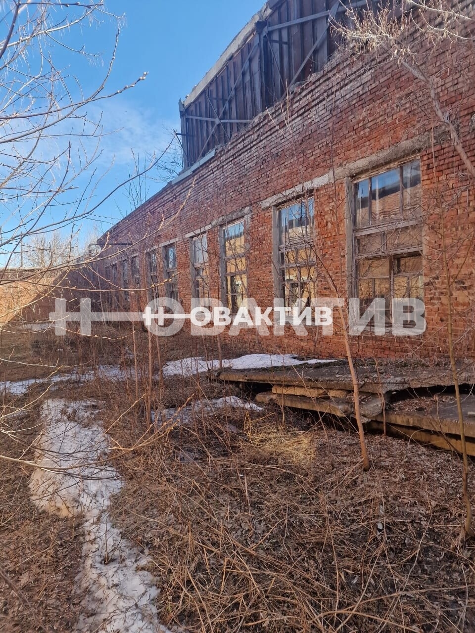 ПСН · 500.0 м² · 1/1 этаж