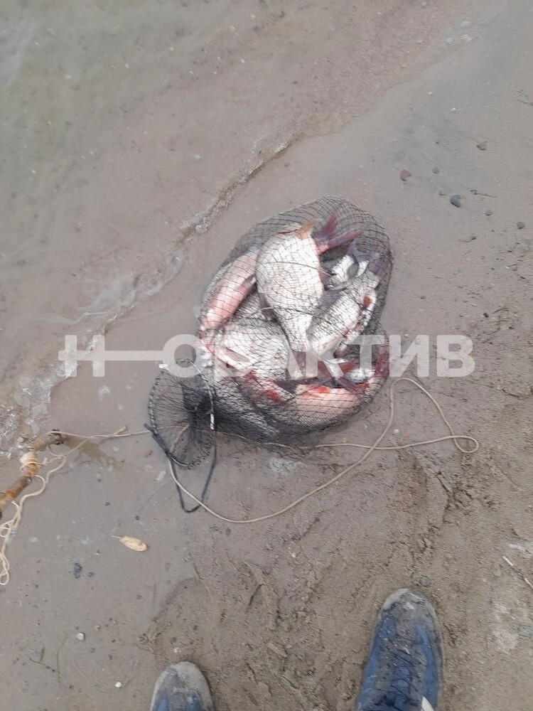 3-комн. квартира · 66 м² · 2/4 этаж — Изображение 24