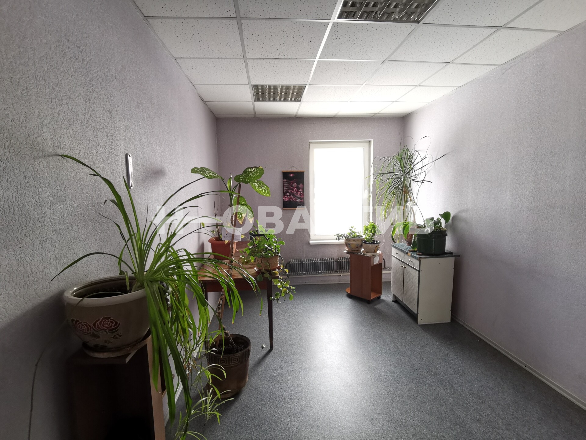 ПСН · 325.0 м² · 1/2 этаж