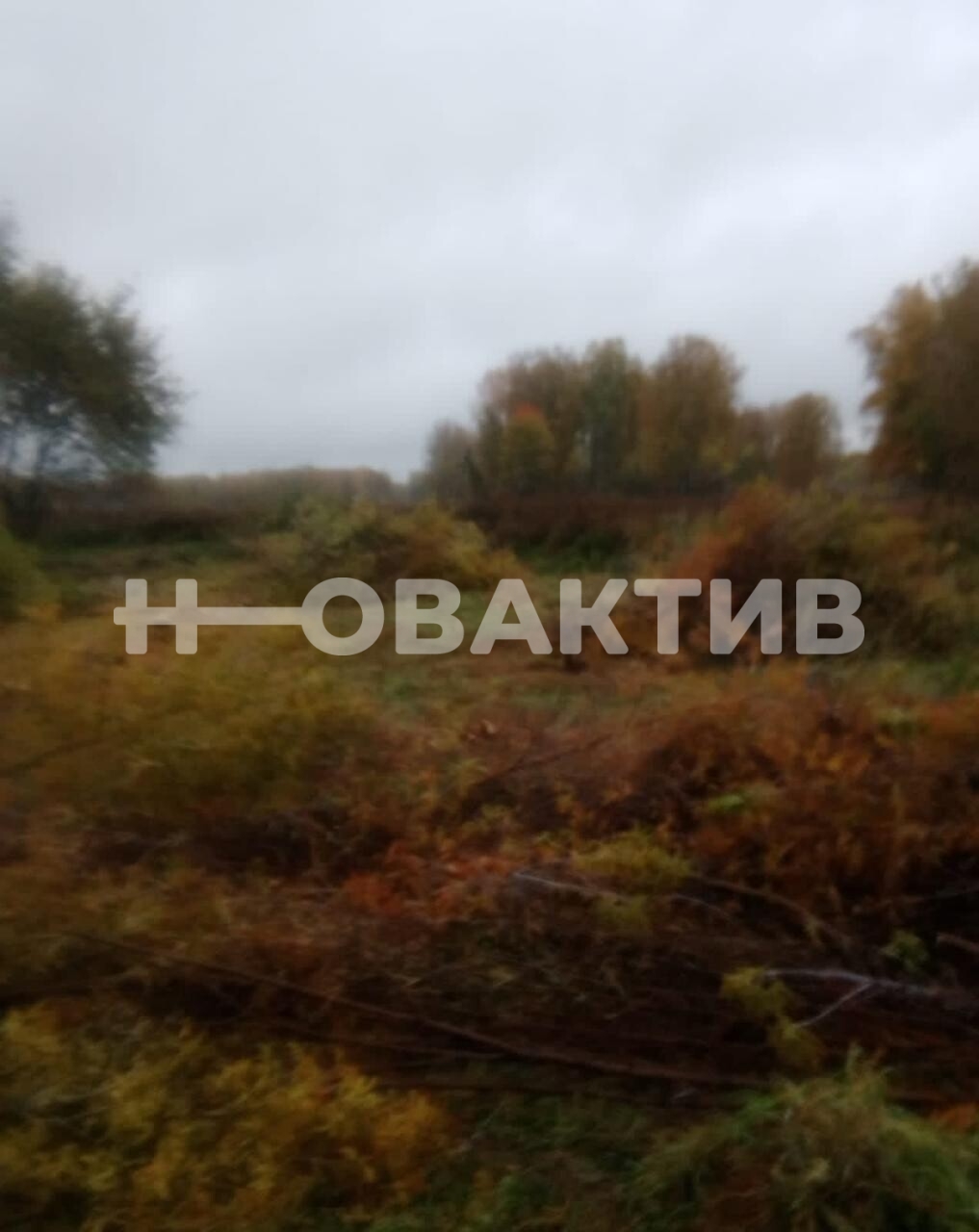 Коммерческая земля · 10.0сот. — Изображение 2