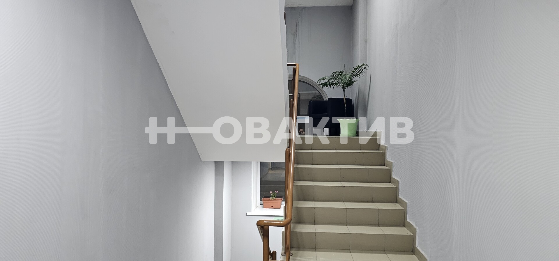 ПСН · 46.0 м² · 1/2 этаж — Изображение 6