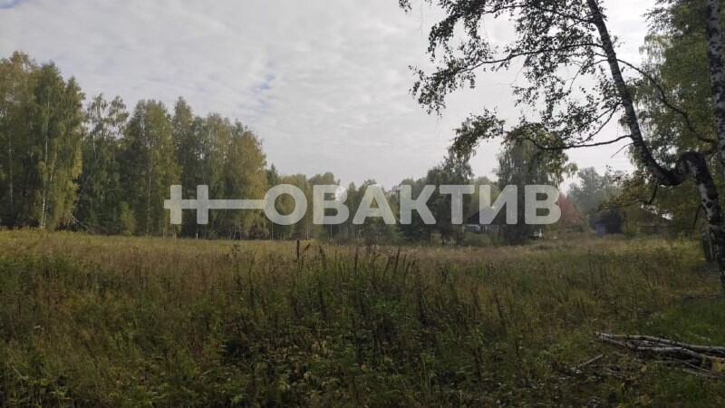 Коммерческая земля · 30.0га — Изображение 3