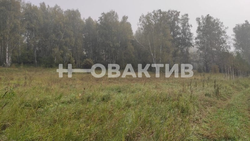 Коммерческая земля · 30.0га — Изображение 2