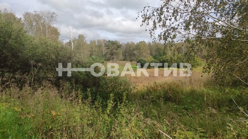 Коммерческая земля · 30.0га — Изображение 1