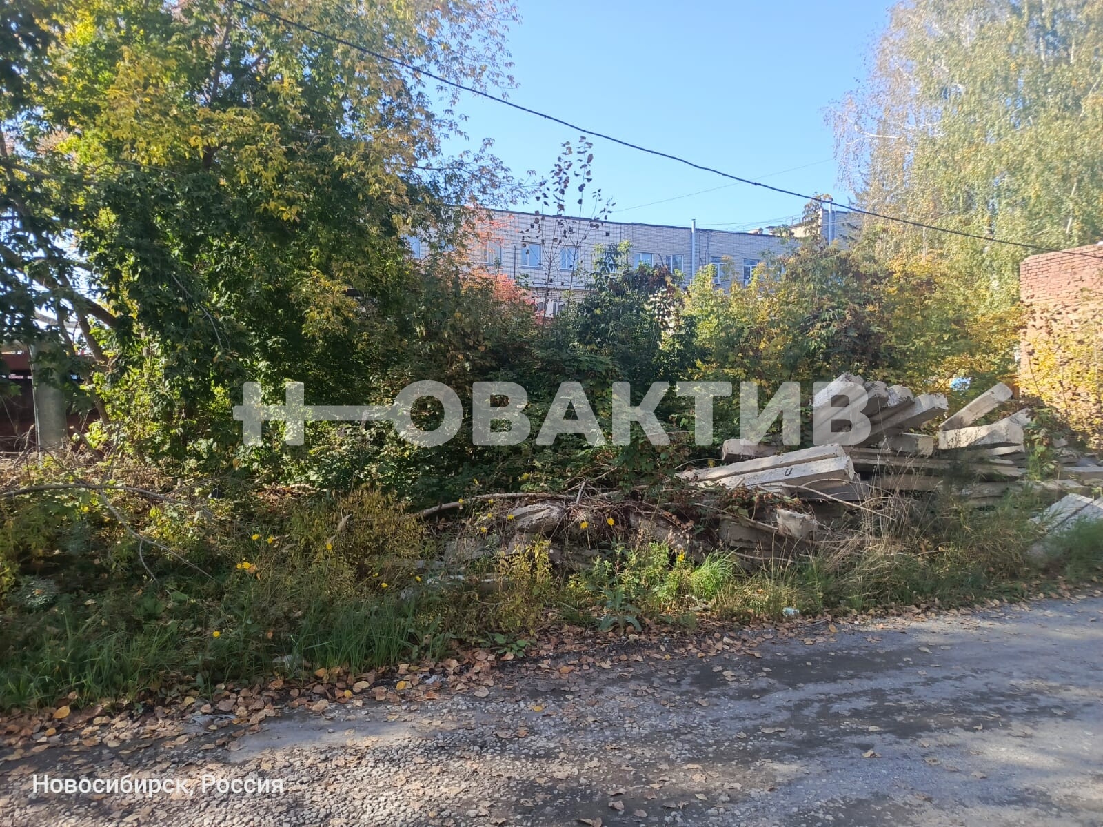 ПСН · 293.5 м² · 1/1 этаж — Изображение 18
