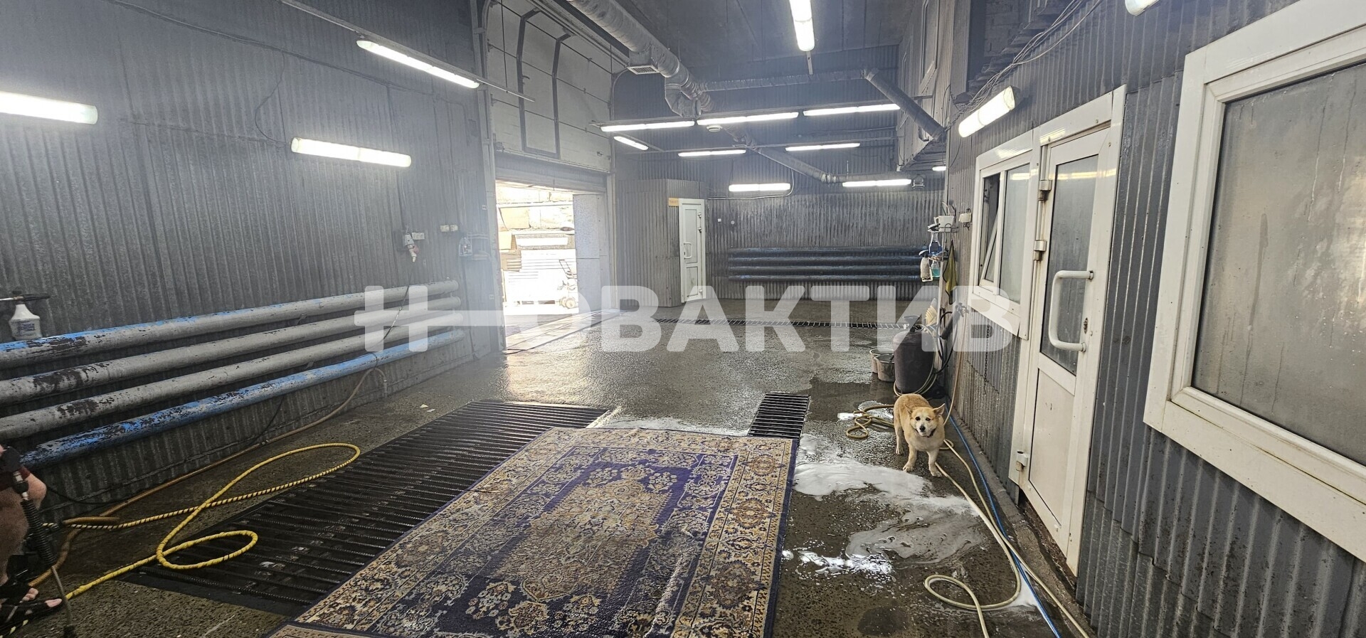 ПСН · 156.9 м² · 1/2 этаж — Изображение 6